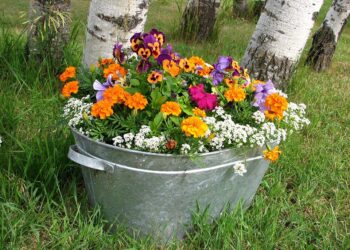 How To Grow Wealth From Nothing